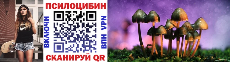 Псилоцибиновые грибы Psilocybine cubensis  Купить закладки  Константиновск 